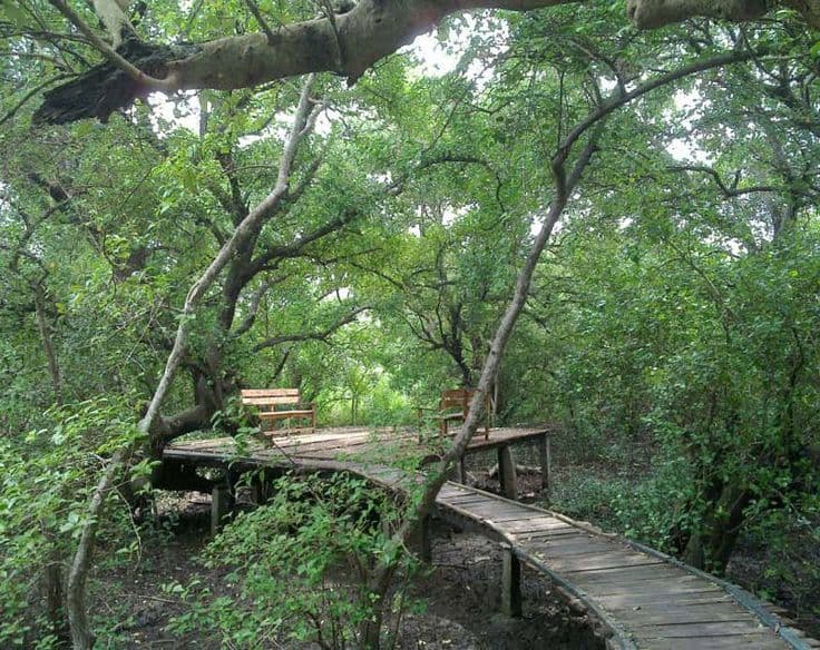 Bhimbandh Wildlife Sanctuary - Tourism destination in Bihar